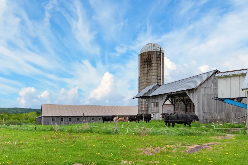 2245 Burrington Hill Road Whitingham VT 05361