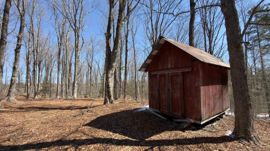 2245 Burrington Hill Road Whitingham VT 05361