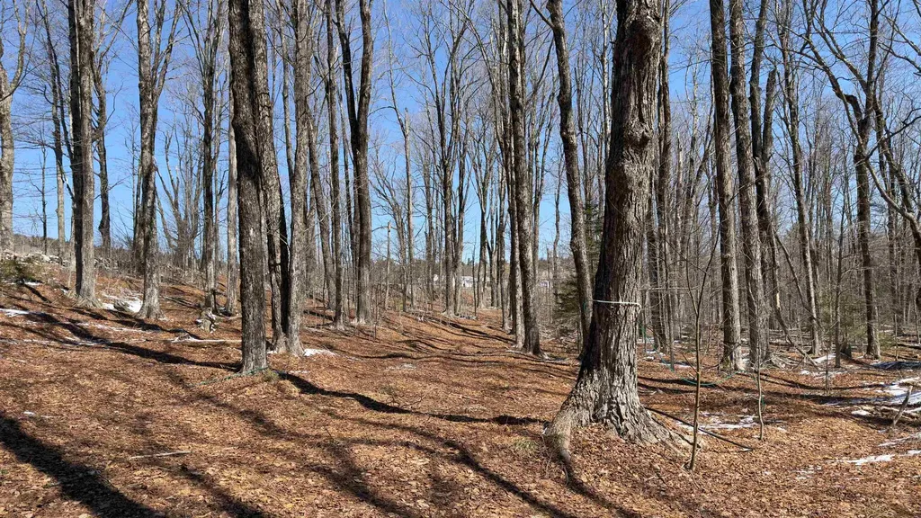2245 Burrington Hill Road Whitingham VT 05361