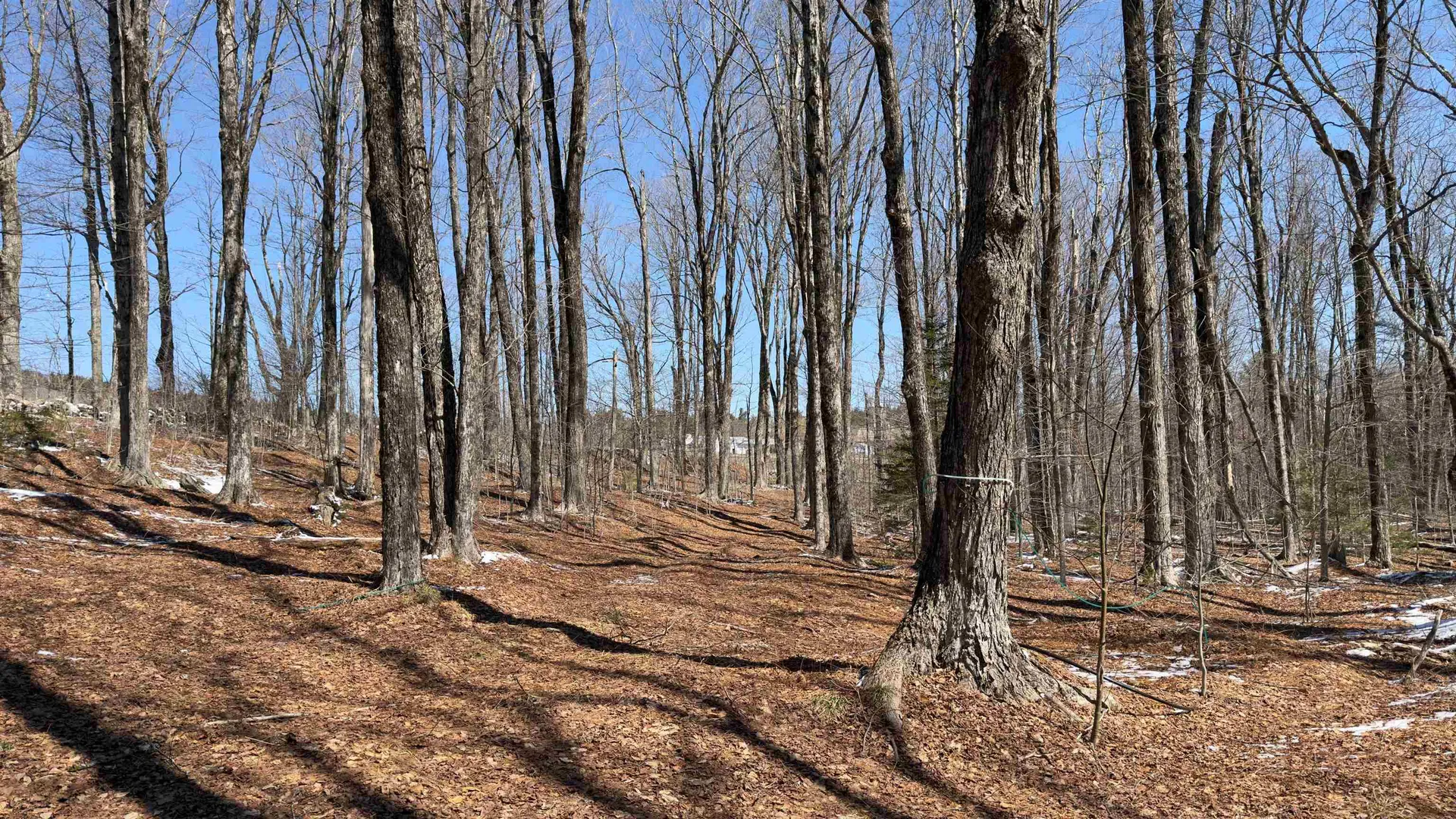 2245 Burrington Hill Road Whitingham VT 05361