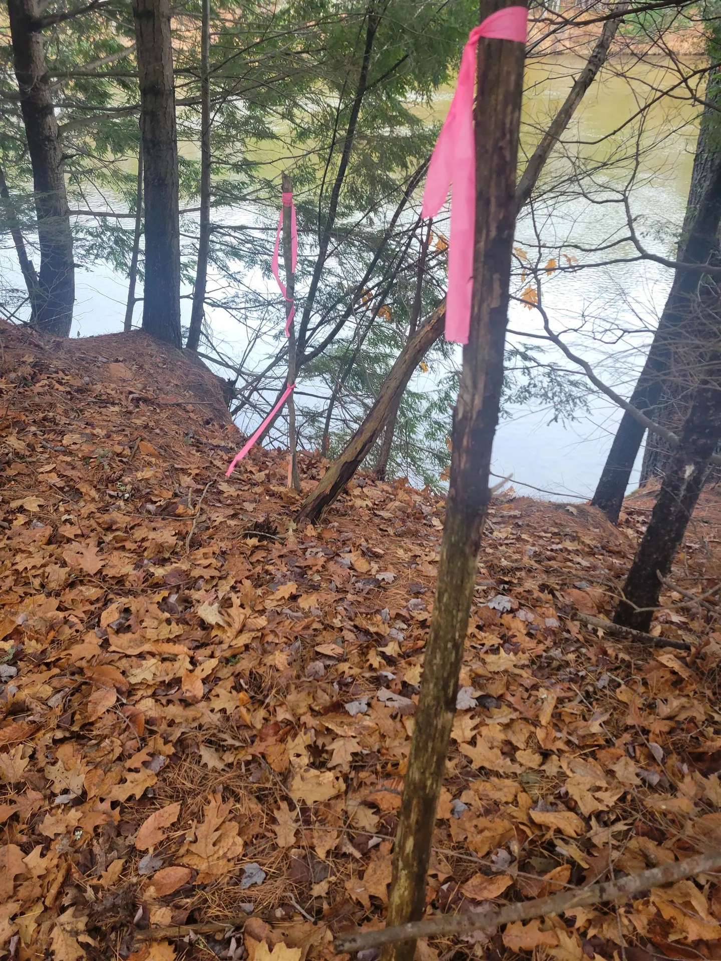 1555 River Road Bridgewater NH 03222