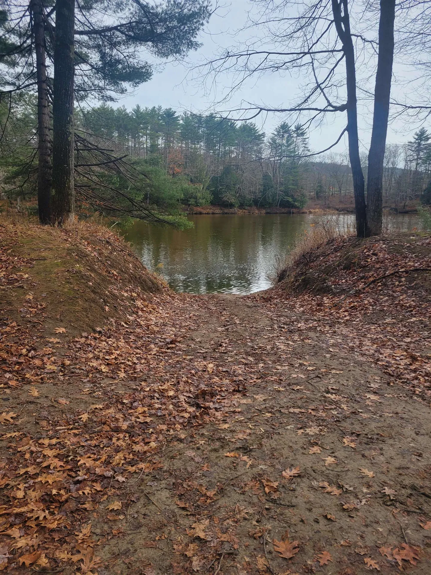 1555 River Road Bridgewater NH 03222