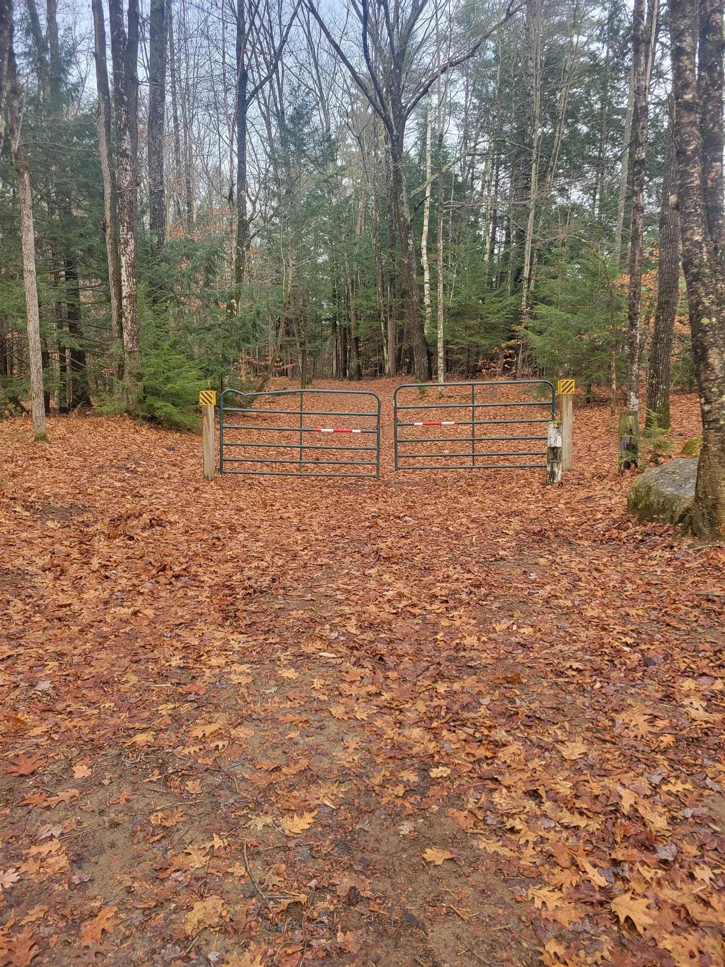 1555 River Road Bridgewater NH 03222