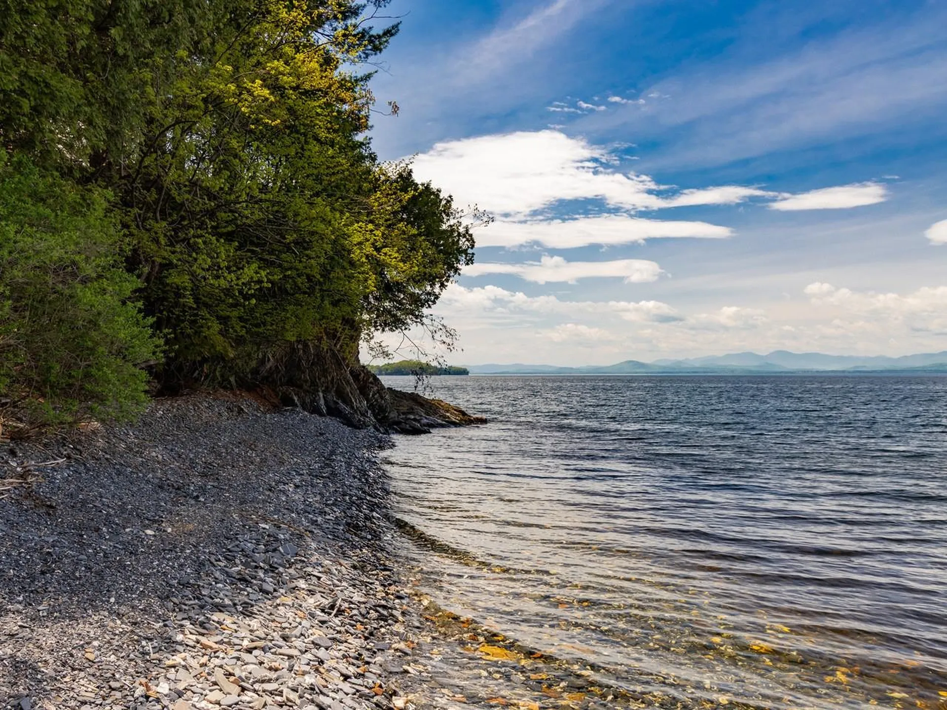 187 Morgan Drive Shelburne VT 05482
