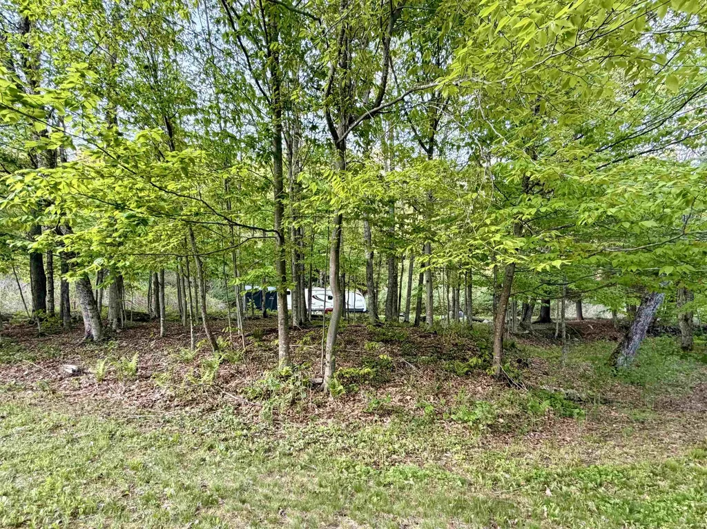 250 Fenton Road Chester VT 05148