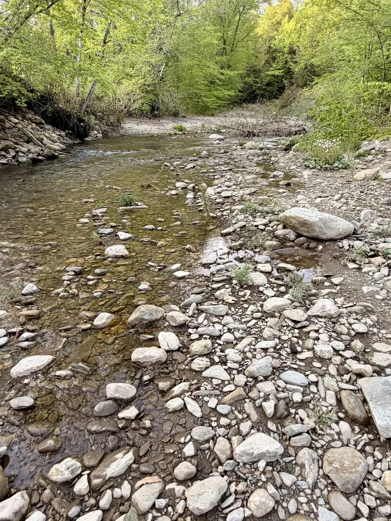 250 Fenton Road Chester VT 05148