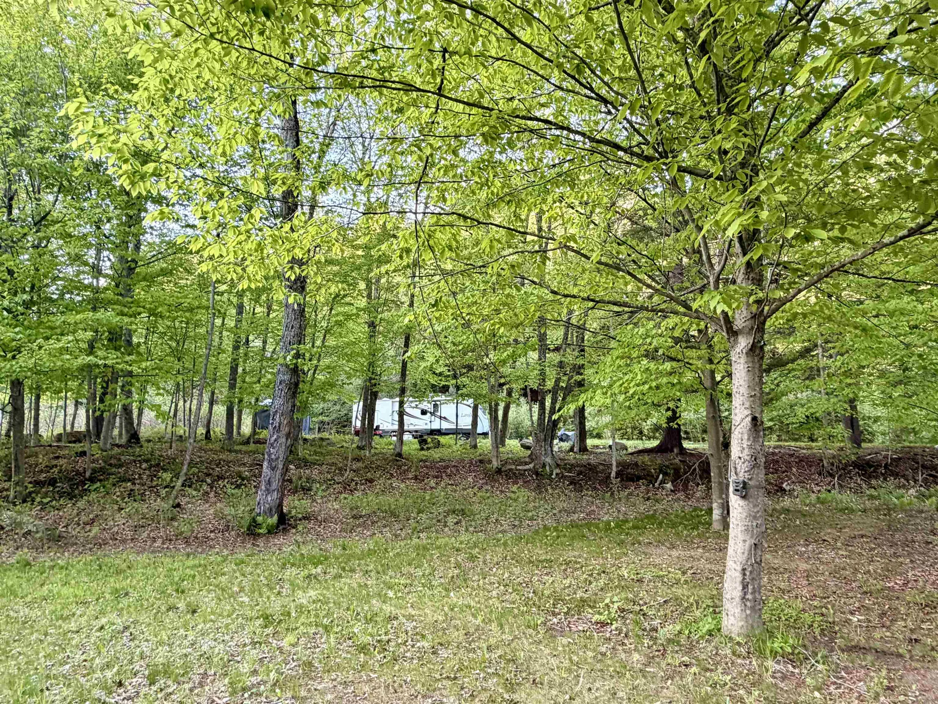 250 Fenton Road Chester VT 05148