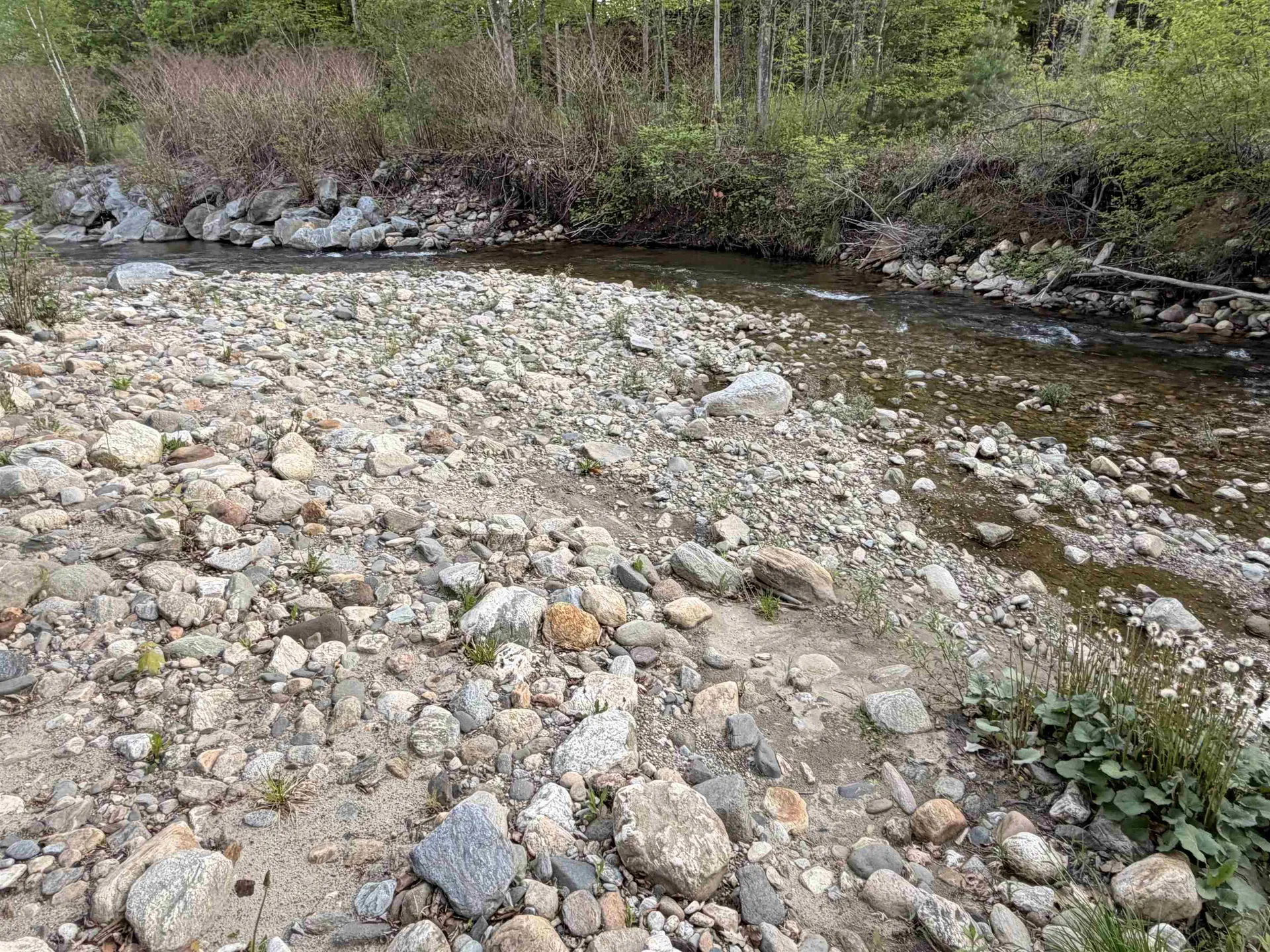 250 Fenton Road Chester VT 05148