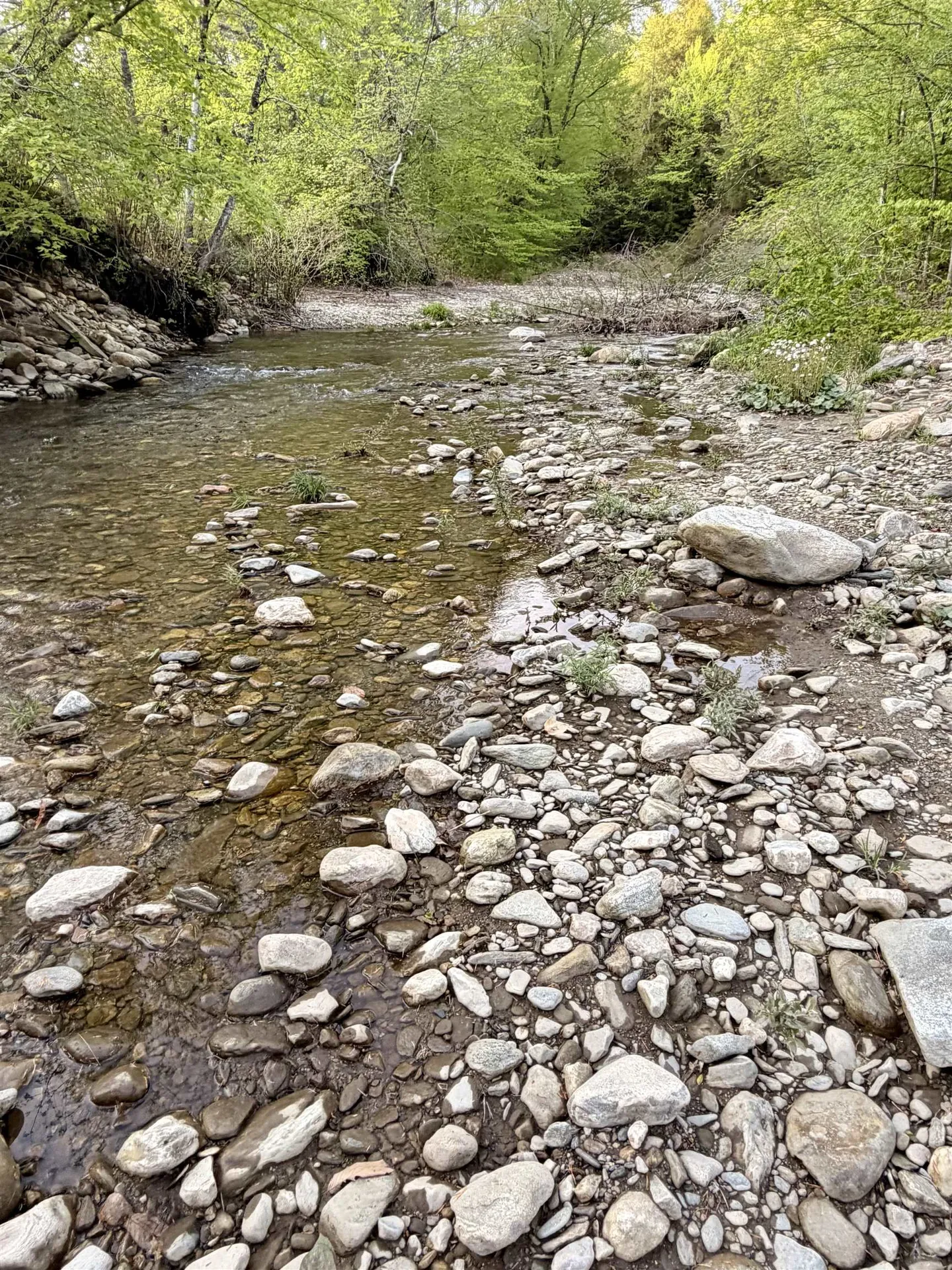 250 Fenton Road Chester VT 05148