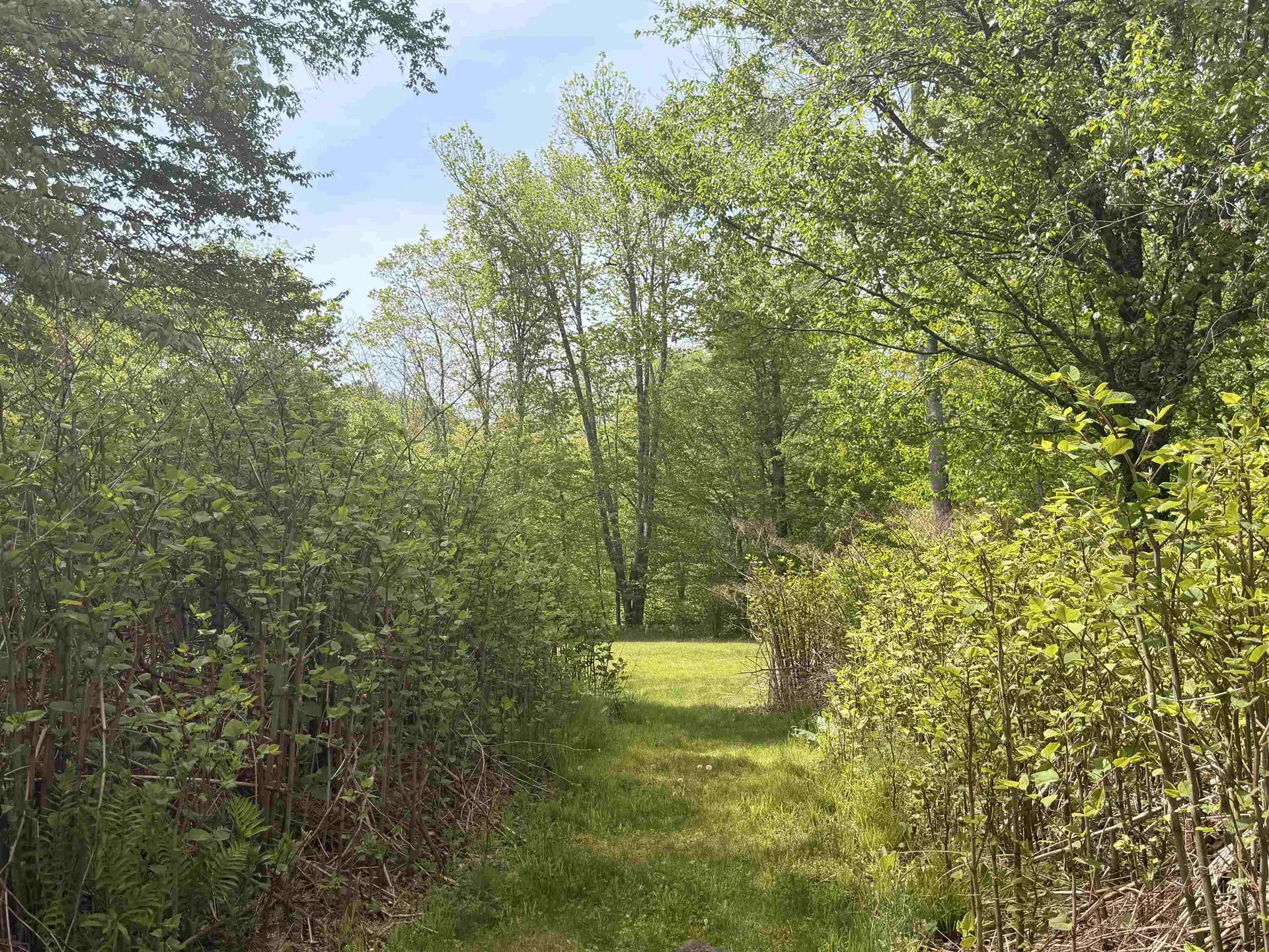 250 Fenton Road Chester VT 05148