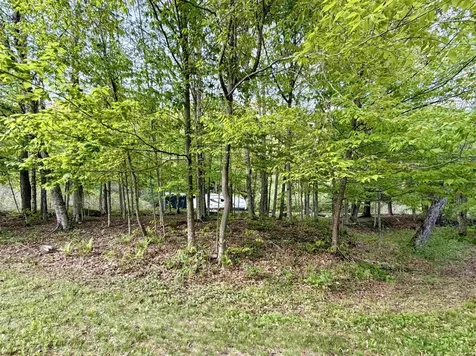 250 Fenton Road Chester VT 05148