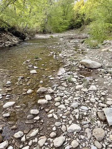 250 Fenton Road Chester VT 05148