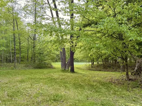 250 Fenton Road Chester VT 05148