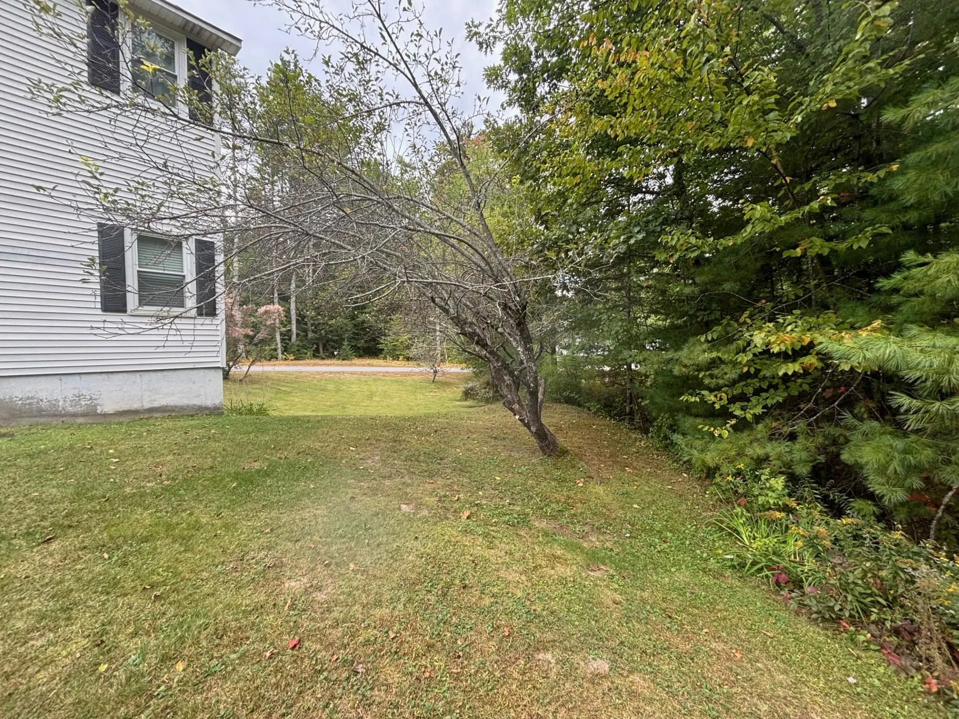 8 Black Point Road Moultonborough NH 03254