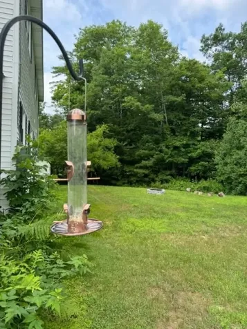 8 Black Point Road Moultonborough NH 03254