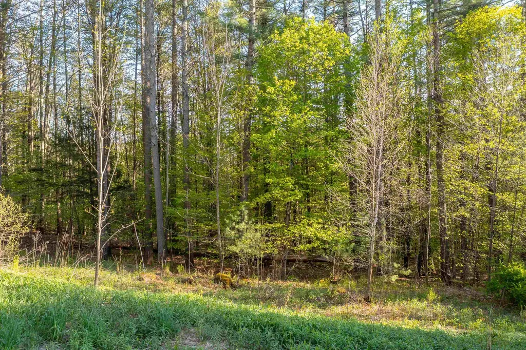 Lot 30 Cedar Drive Ludlow VT 05149
