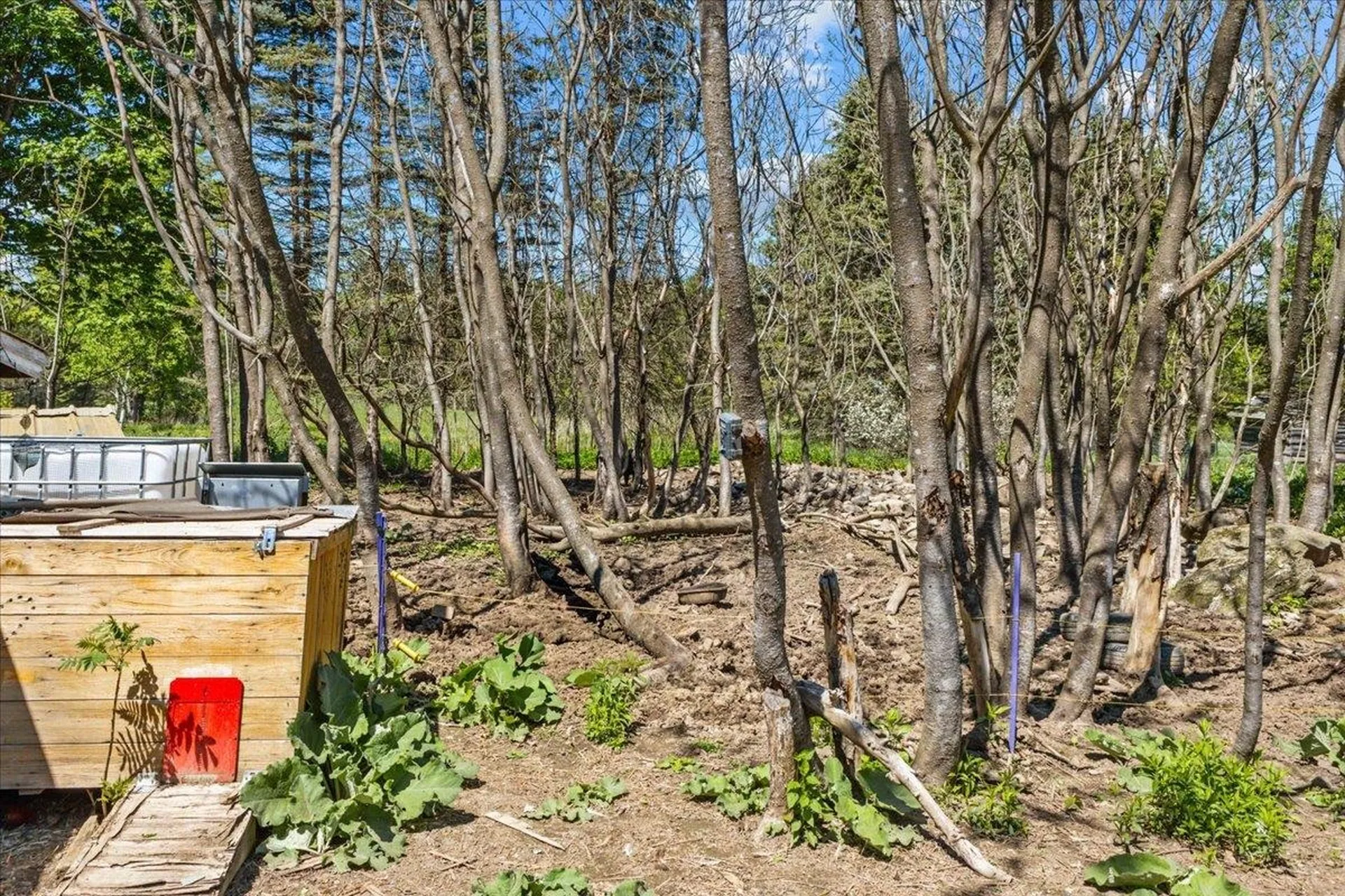 289 Buck Hollow Road Fairfax VT 05454