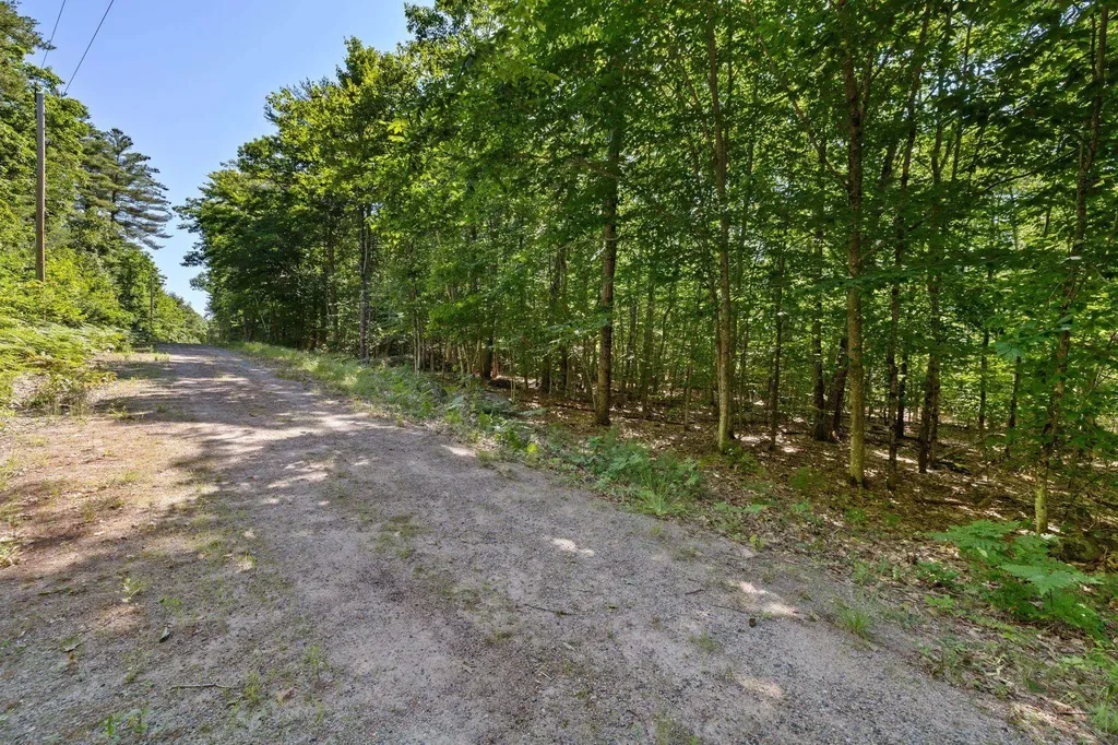 Lot 7 Parsons Road Freedom NH 03826