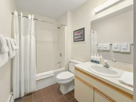 261 Village Green Drive Stowe VT 05672