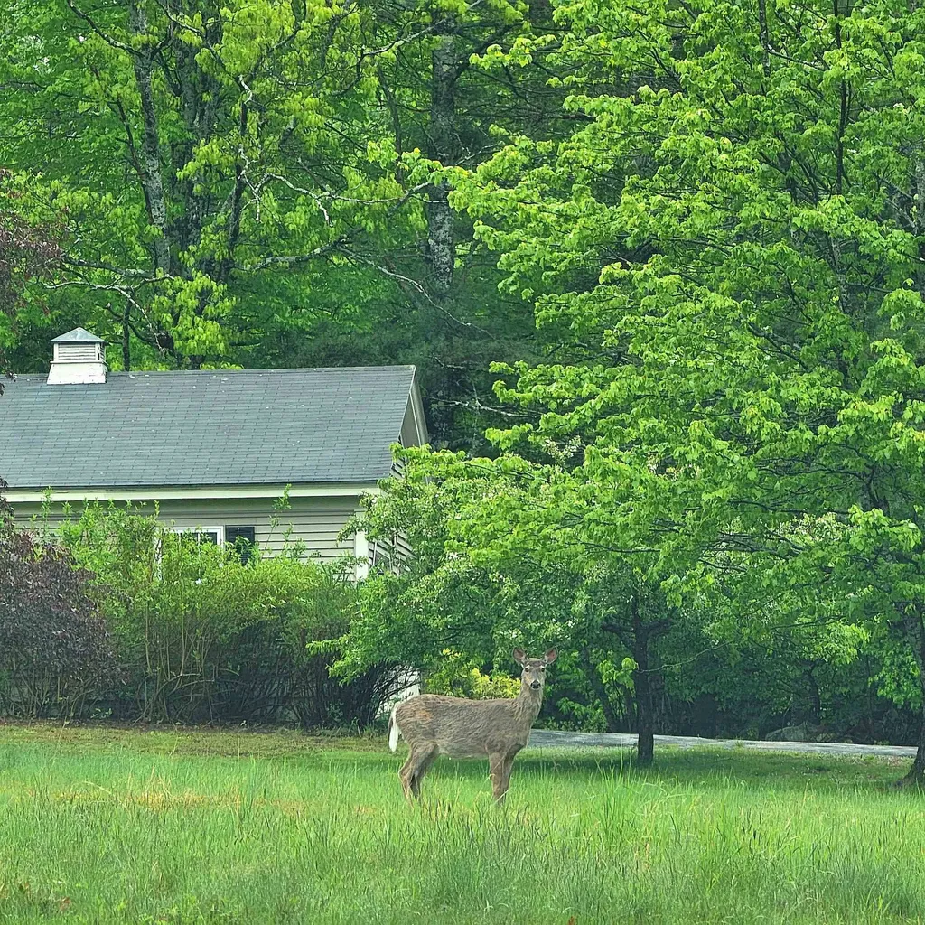 13 Federal Corner Road Tuftonboro NH 03816