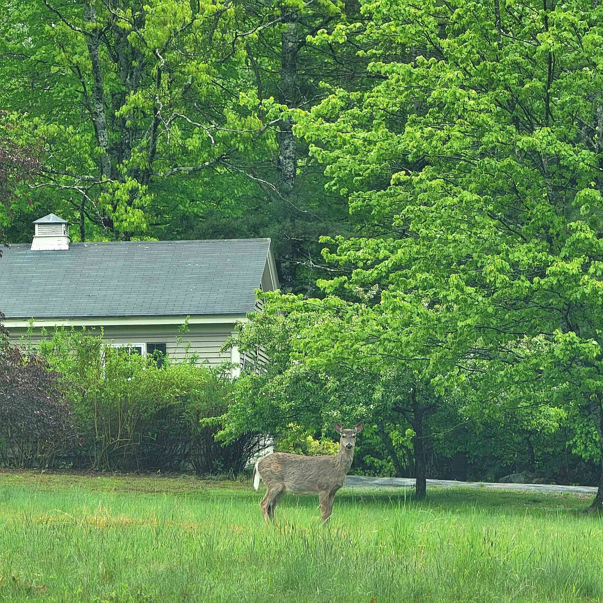 13 Federal Corner Road Tuftonboro NH 03816