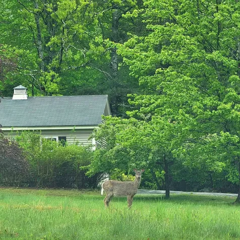 13 Federal Corner Road Tuftonboro NH 03816