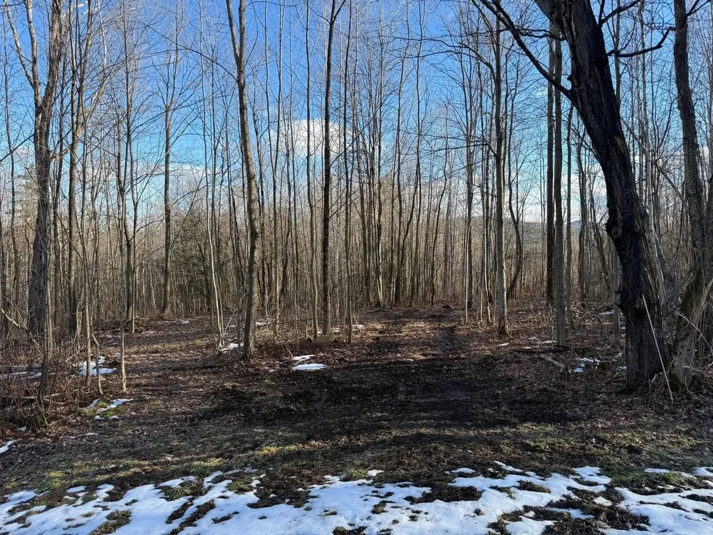 92 Great Northern Road Troy VT 05859