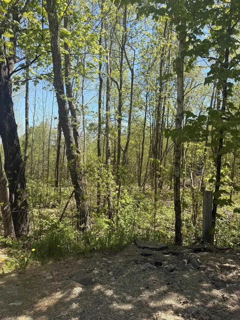 92 Great Northern Road Troy VT 05859