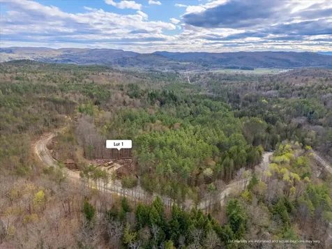 91 Governor Peck Road Jericho VT 05465