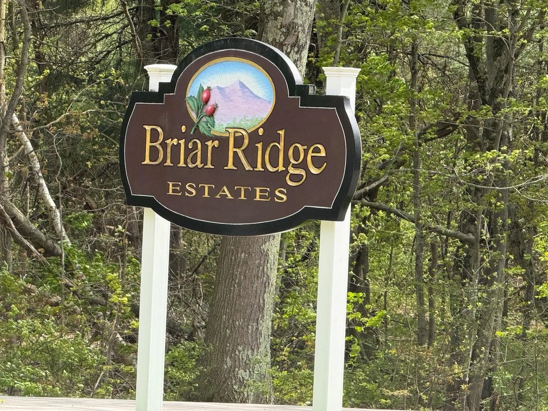 65 Sagebrush Drive Rochester NH 03867