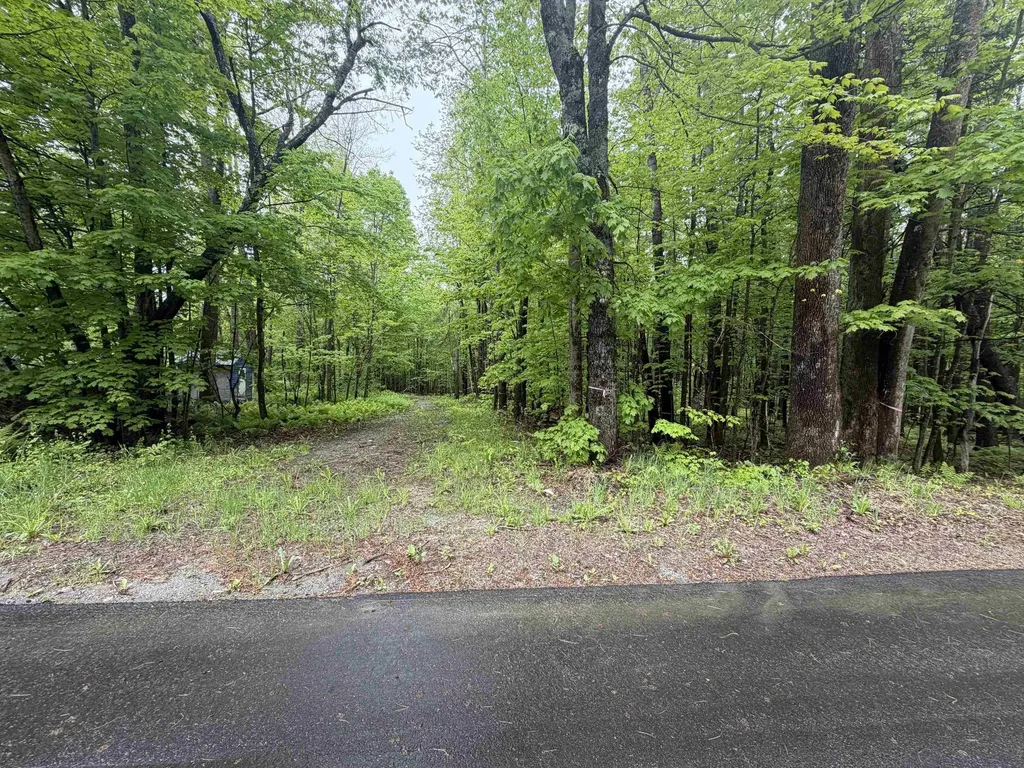 114 Lewis Hill Road Bethlehem NH 03574