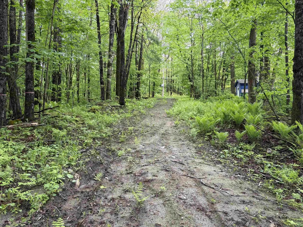 114 Lewis Hill Road Bethlehem NH 03574