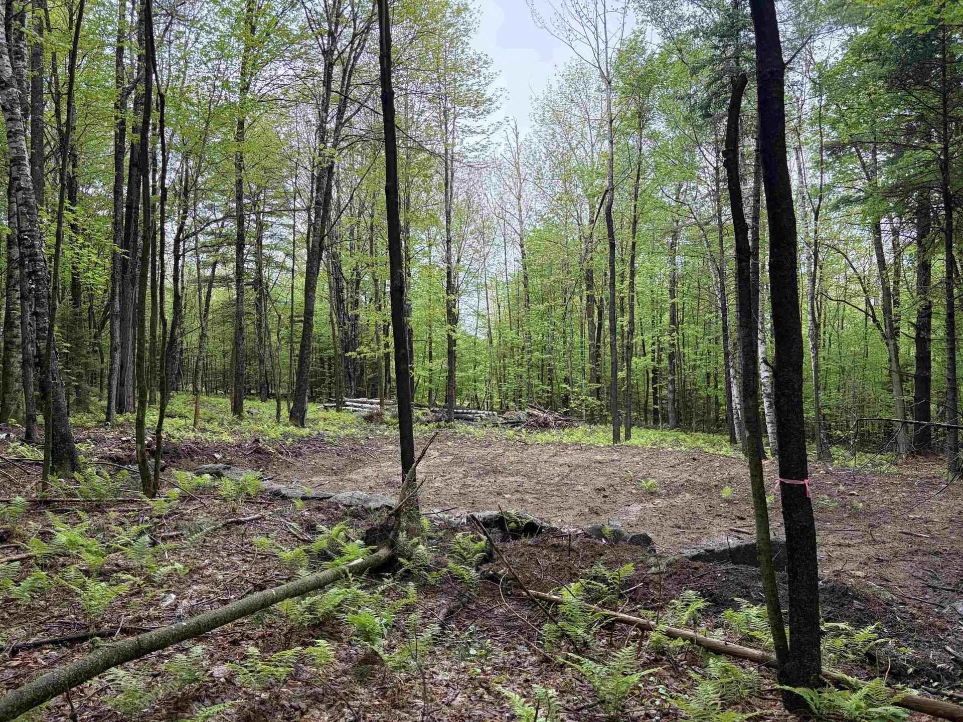 114 Lewis Hill Road Bethlehem NH 03574