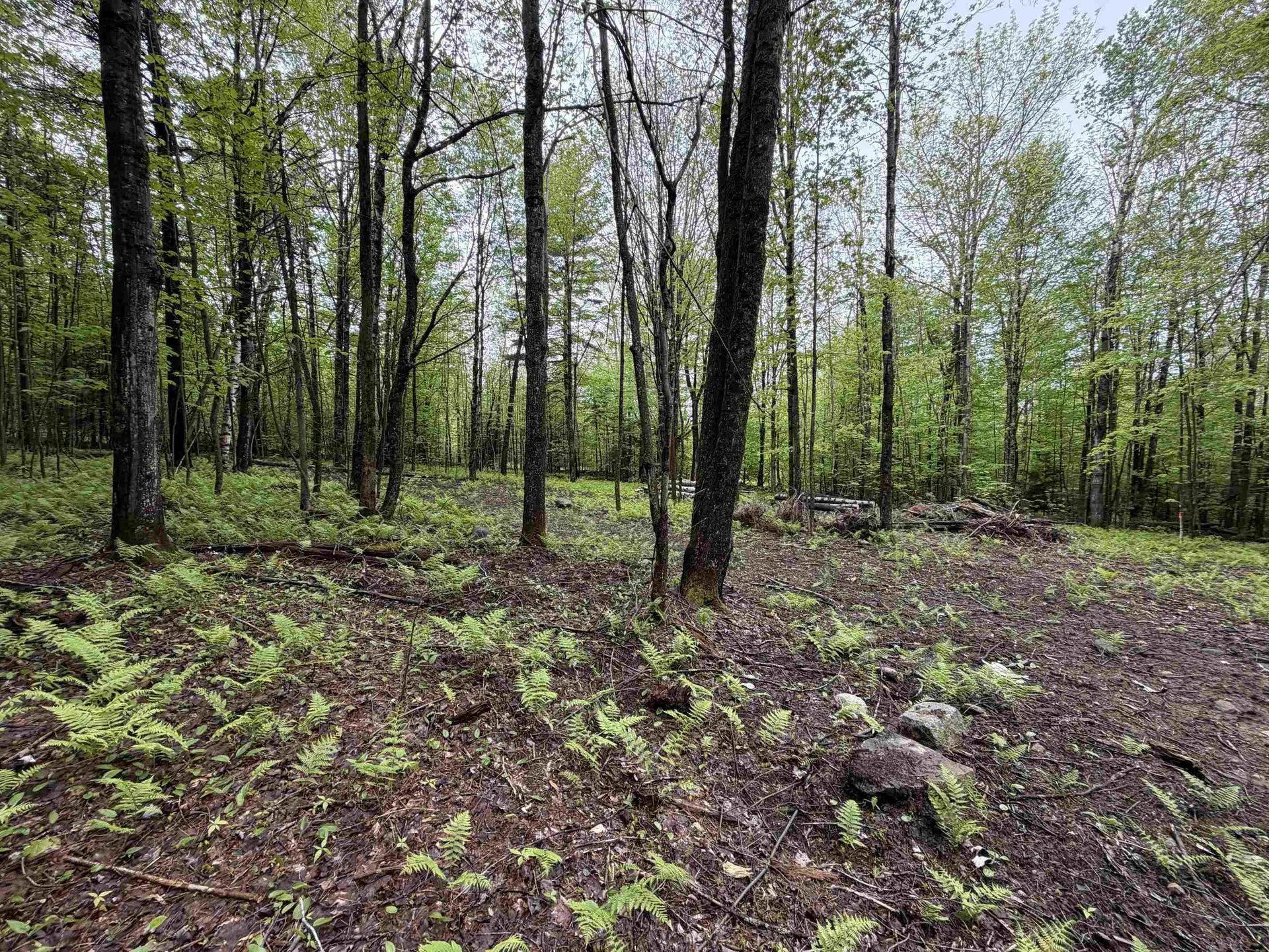 114 Lewis Hill Road Bethlehem NH 03574