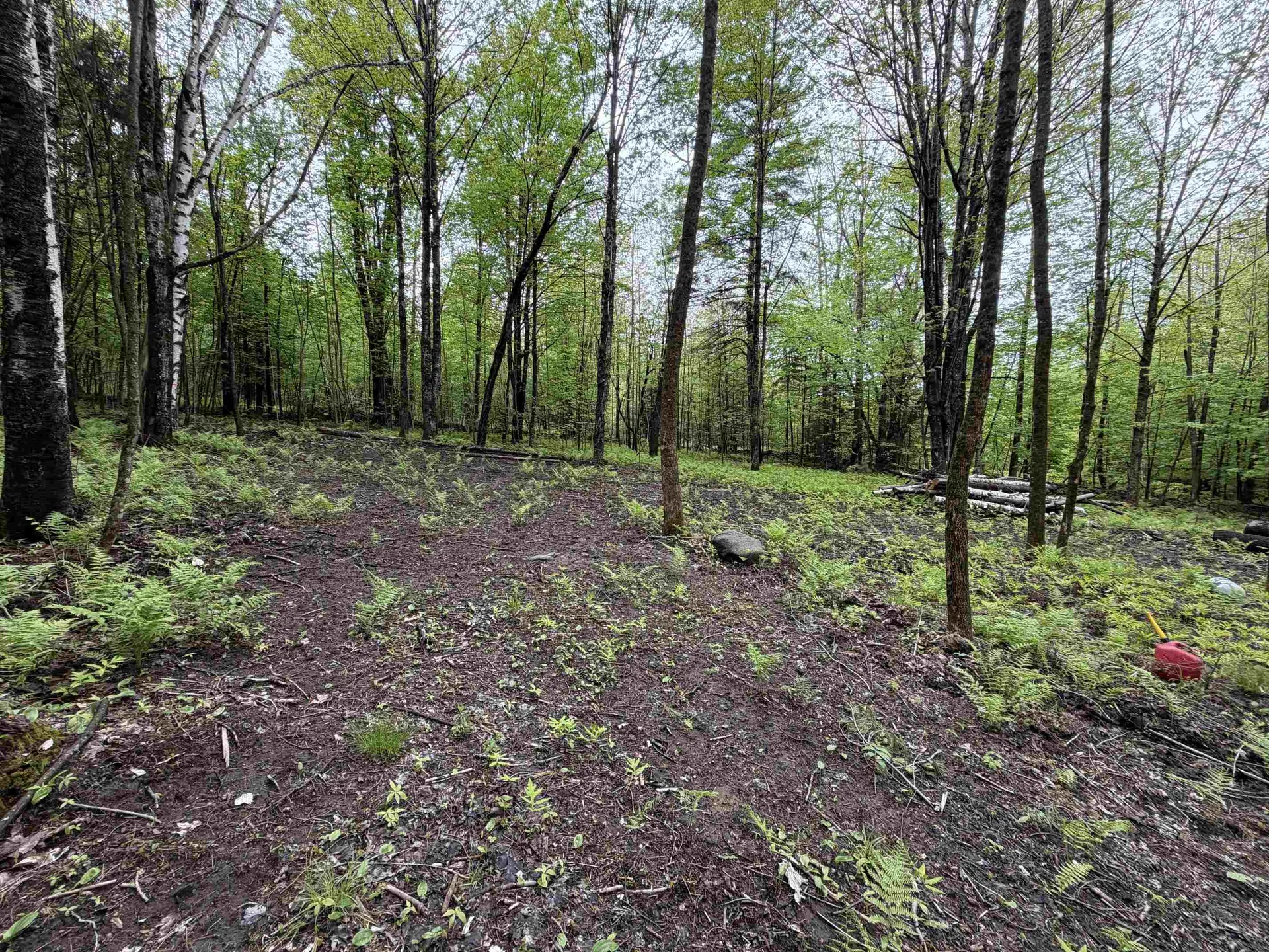 114 Lewis Hill Road Bethlehem NH 03574