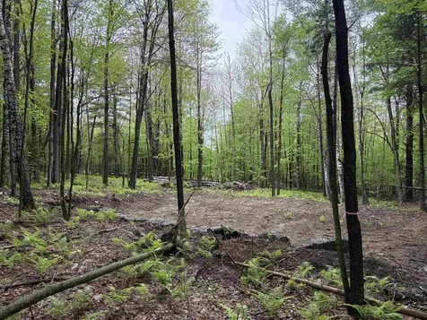 114 Lewis Hill Road Bethlehem NH 03574