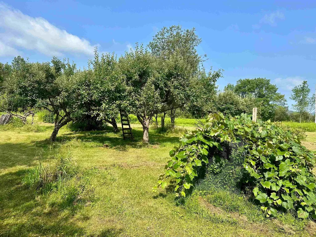 209 Kelley Hill Road Danby VT 05739