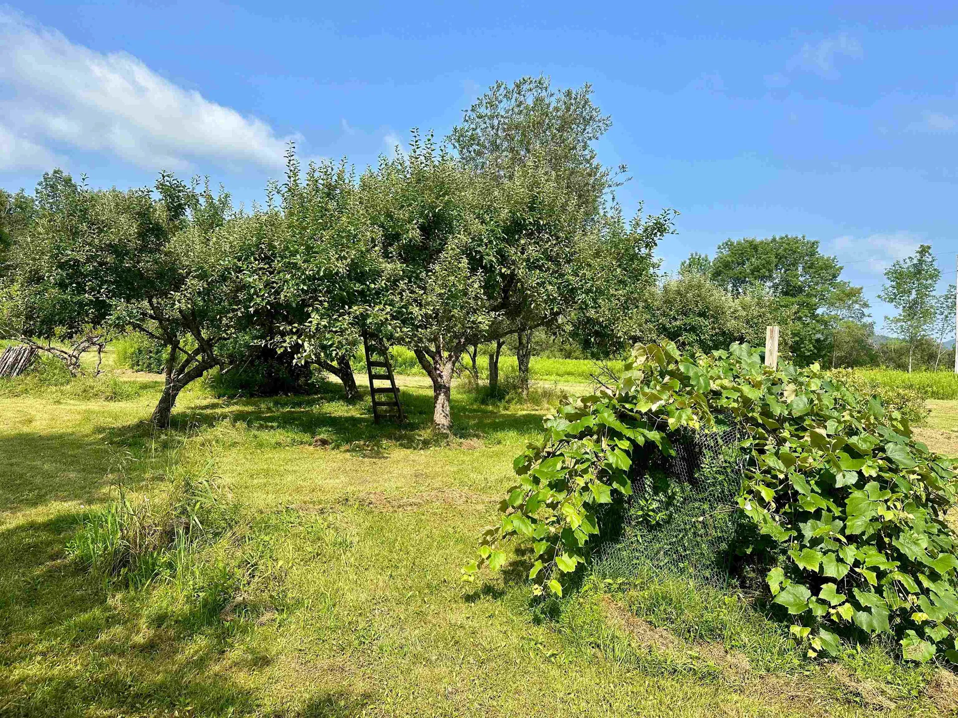 209 Kelley Hill Road Danby VT 05739