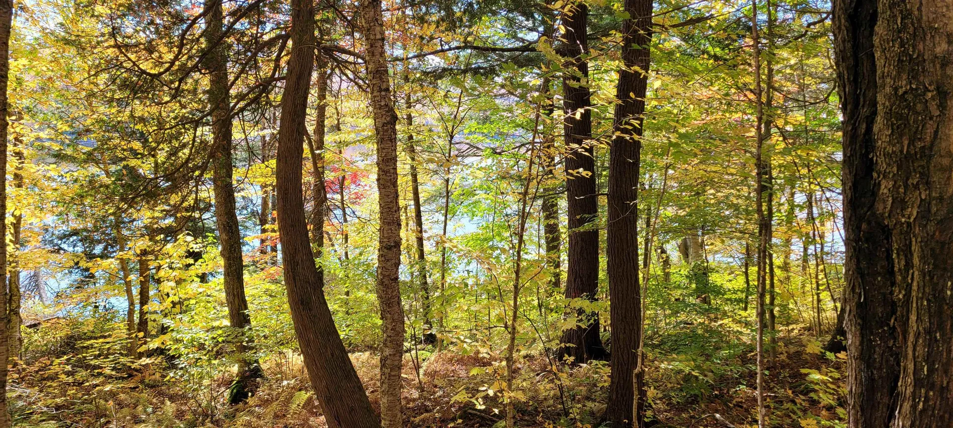 00 Lake Station Road Norton VT 05907