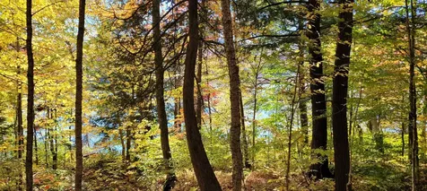 00 Lake Station Road Norton VT 05907