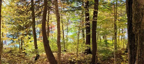 00 Lake Station Road Norton VT 05907