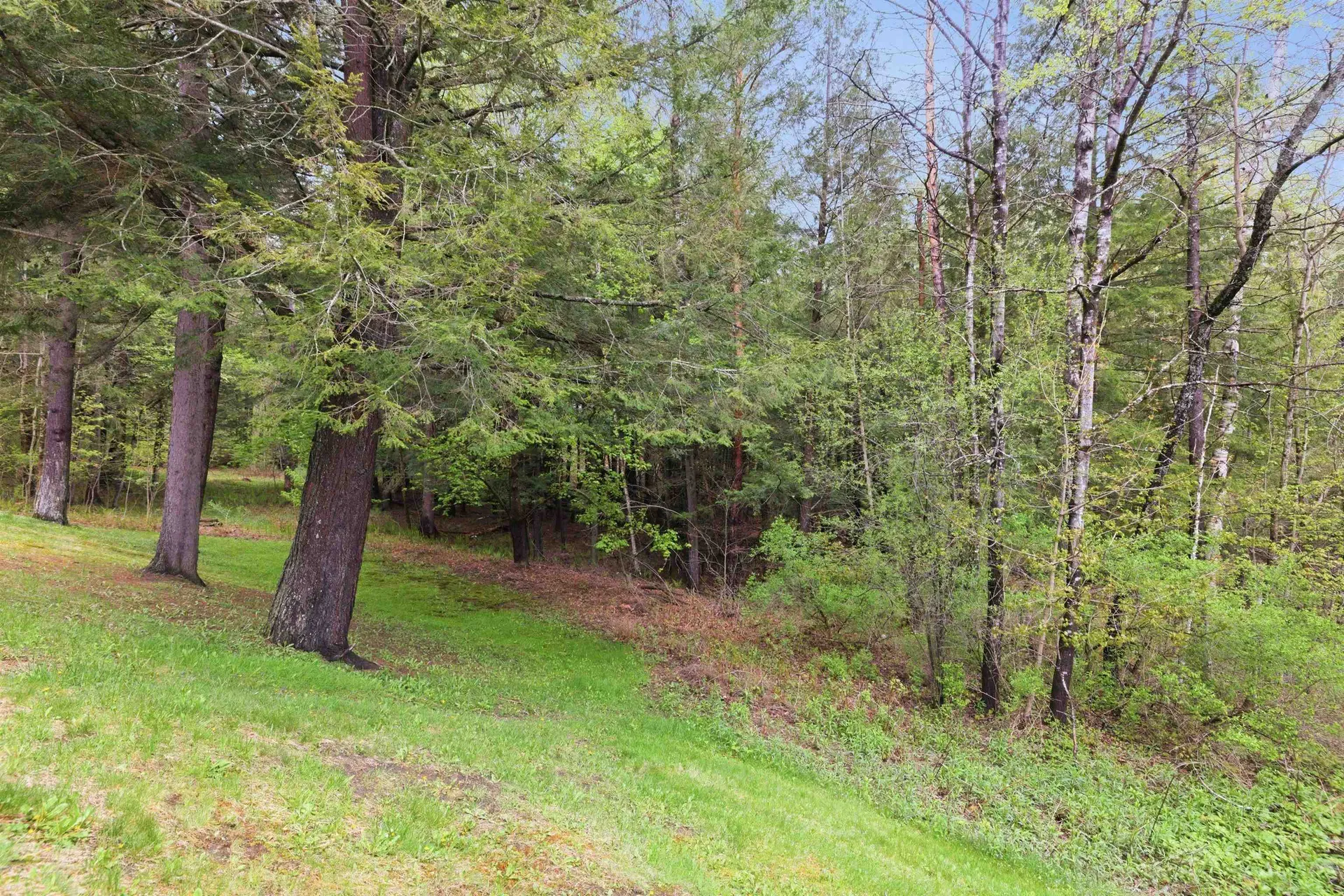85 Town House Way Woodstock VT 05091