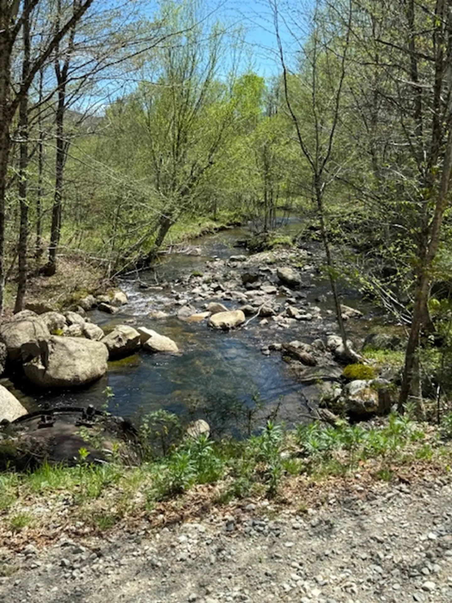 2191 Nash Stream Road Odell NH 03576