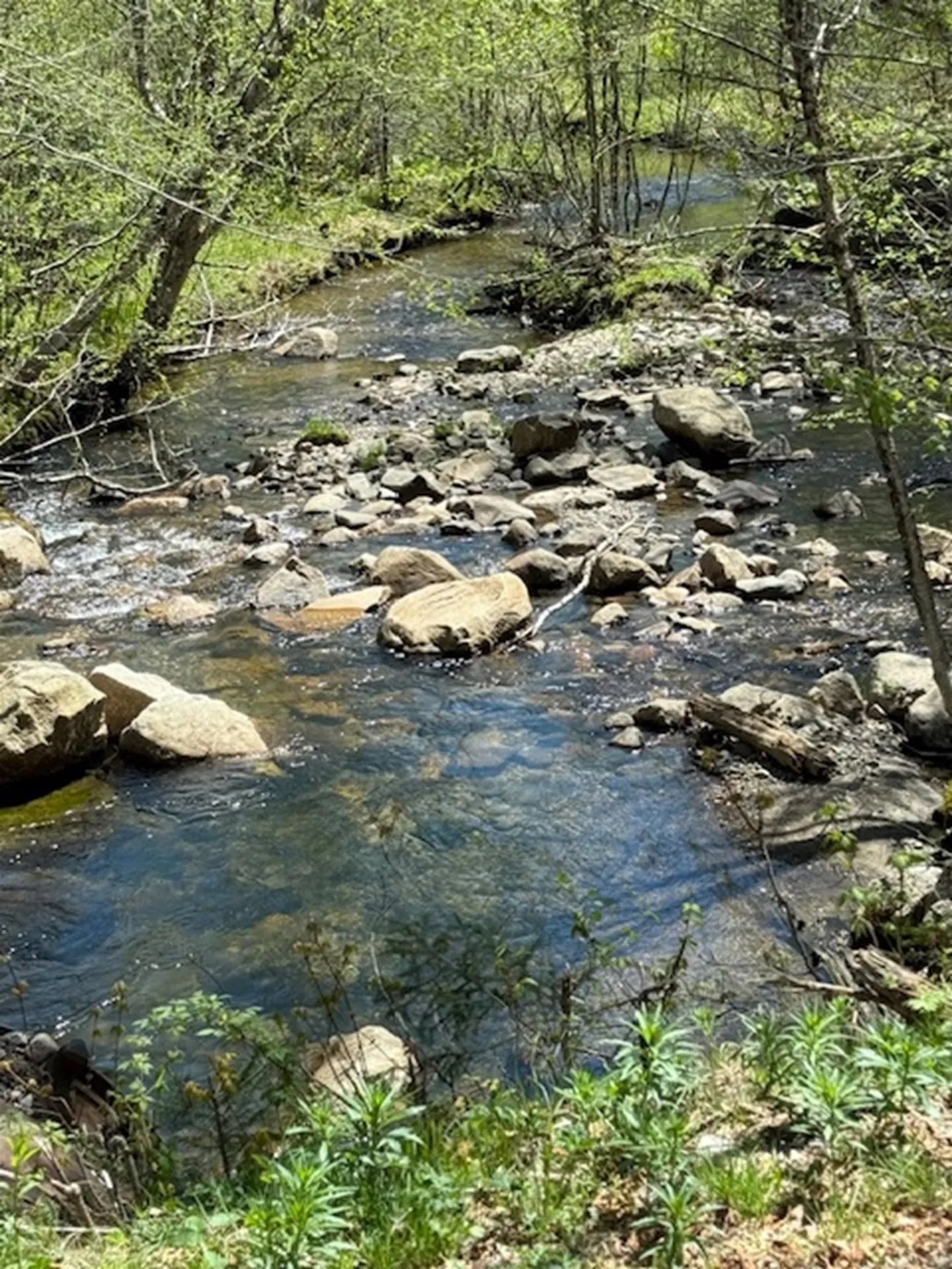 2191 Nash Stream Road Odell NH 03576