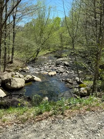 2191 Nash Stream Road Odell NH 03576