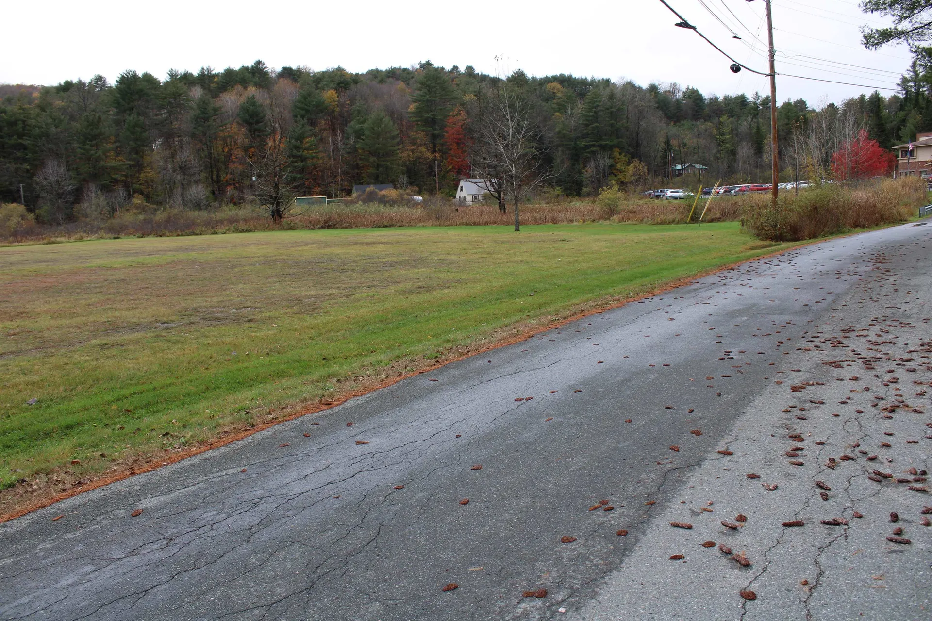 None Us Route #2 East St. Johnsbury VT 05819