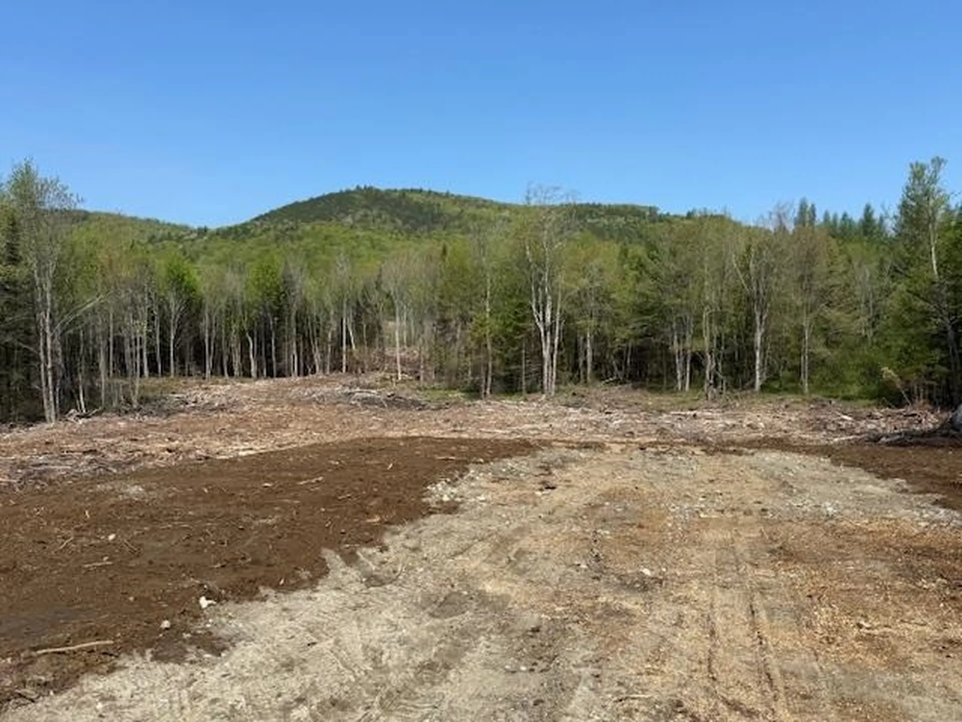 Lot 56.2 Faraway Road Dalton NH 03598