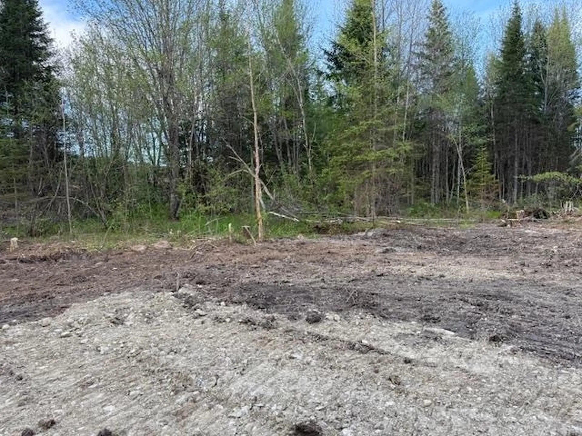 Lot 56 Faraway Road Dalton NH 03598
