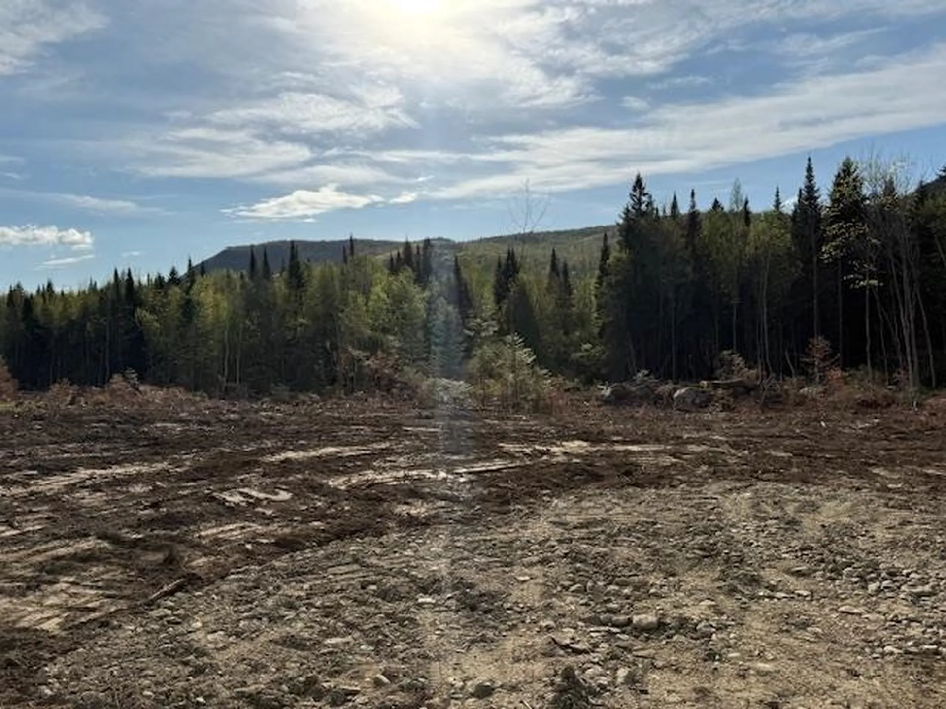 Lot 56.1 Faraway Road Dalton NH 03598