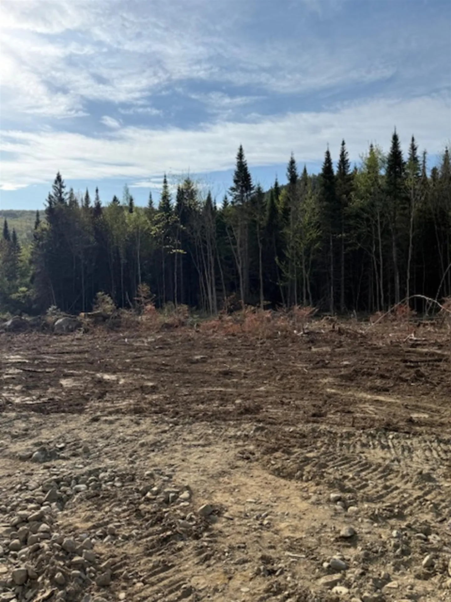 Lot 56.1 Faraway Road Dalton NH 03598